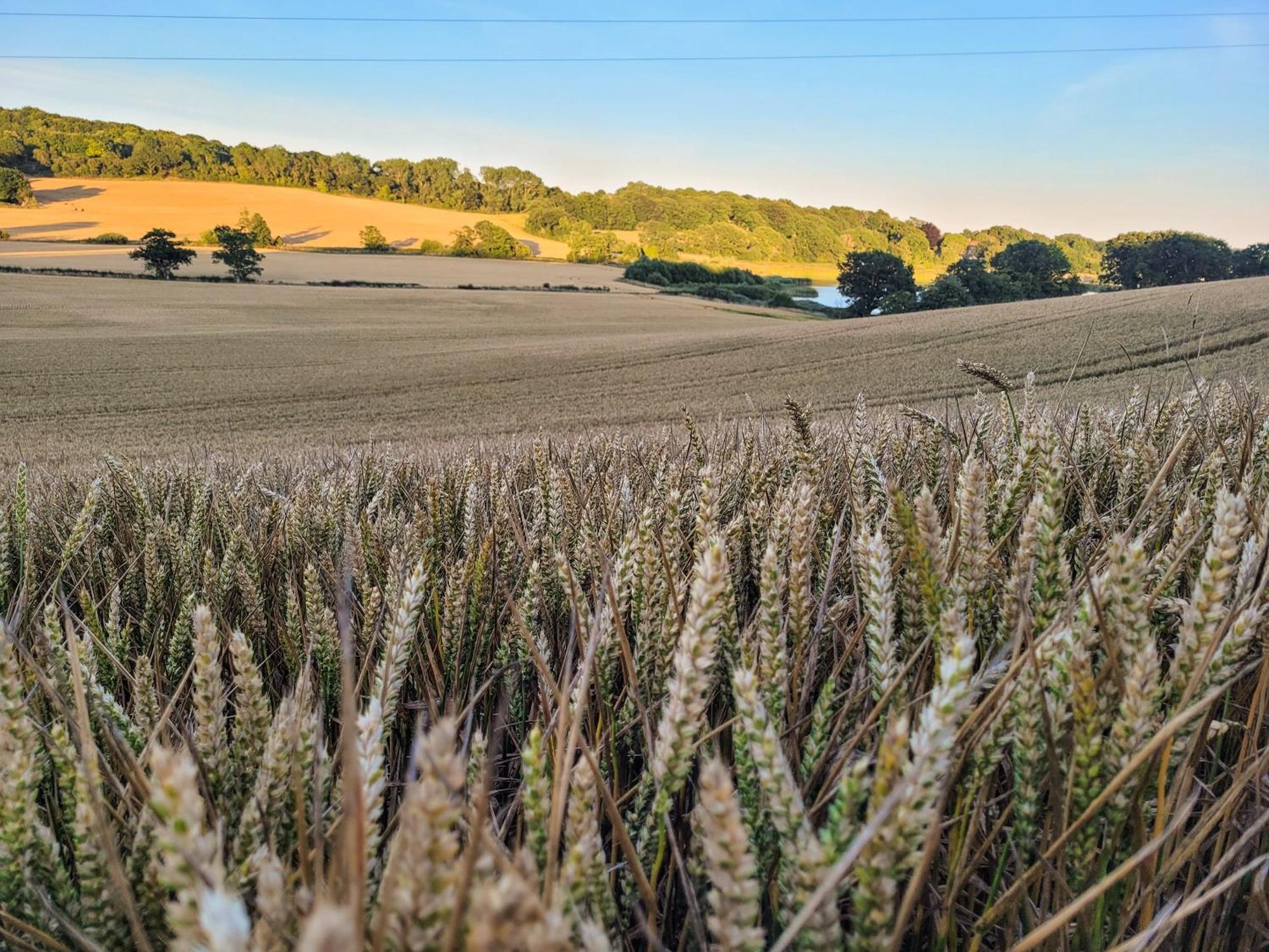 Вилла Hayfield Haven-Uk40691 Crowhurst  Экстерьер фото