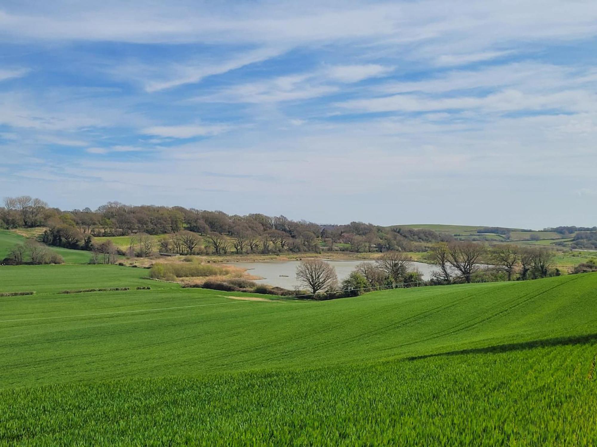 Вилла Hayfield Haven-Uk40691 Crowhurst  Экстерьер фото